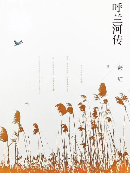 野草與星光 蕭紅誕辰110周年，文學(xué)書寫與生命成長的雙重軌跡